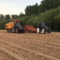 Uienschilbedrijf Ongena, Moerbeke-Waas openingstijden