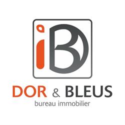 DOR & BLEUS immobilier, Luik openingstijden