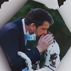 Puntinato Ballante Dalmatians, Puurs openingstijden