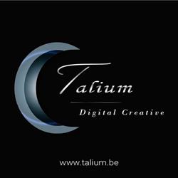 Talium - Digital Marketing, Terhulpen openingstijden