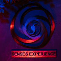 INTENSE Senses Experience, Manage openingstijden