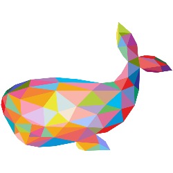 White Whale Webdesign, Olen openingstijden