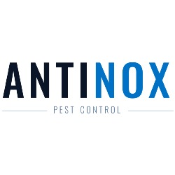 Antinox, Anderlecht openingstijden